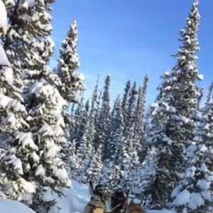 Meet your Posher, Ambika